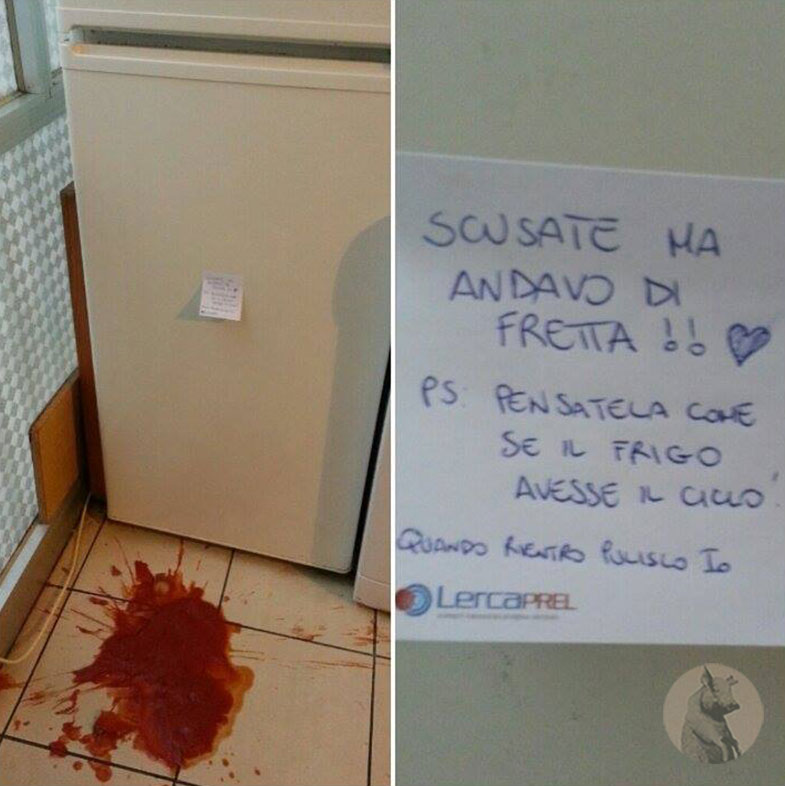 frigorifero ciclo