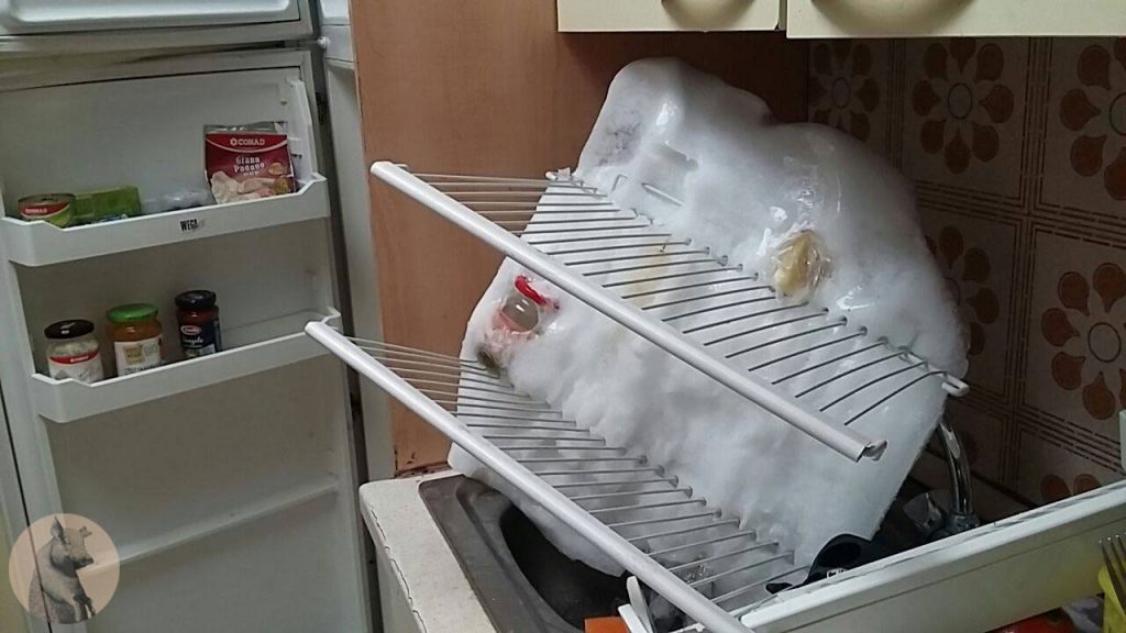 frigo sbrinato