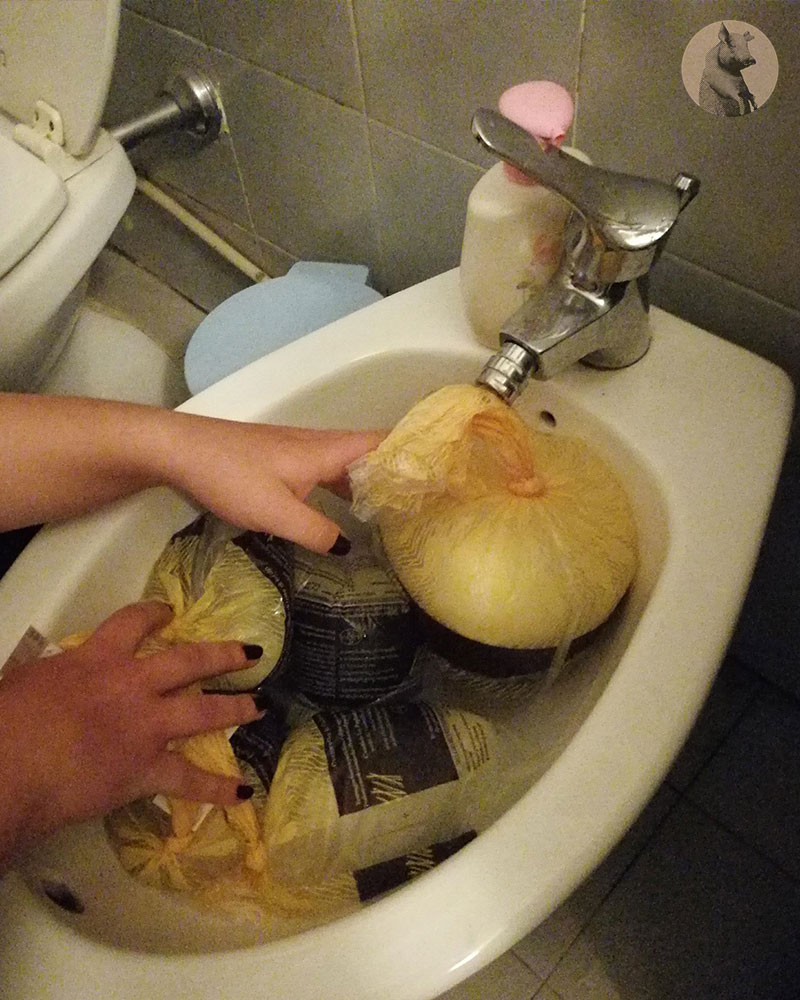 mozzarella bufala nel bidet