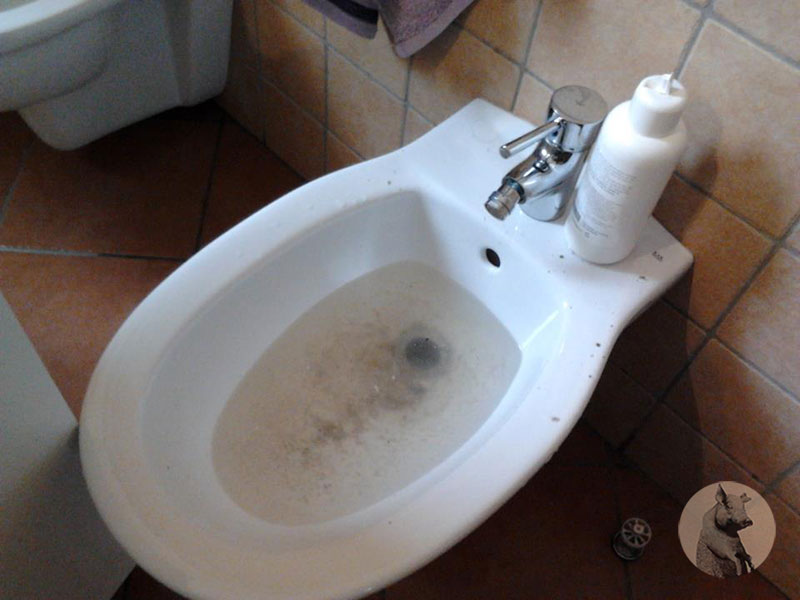 bidet lische di pesce