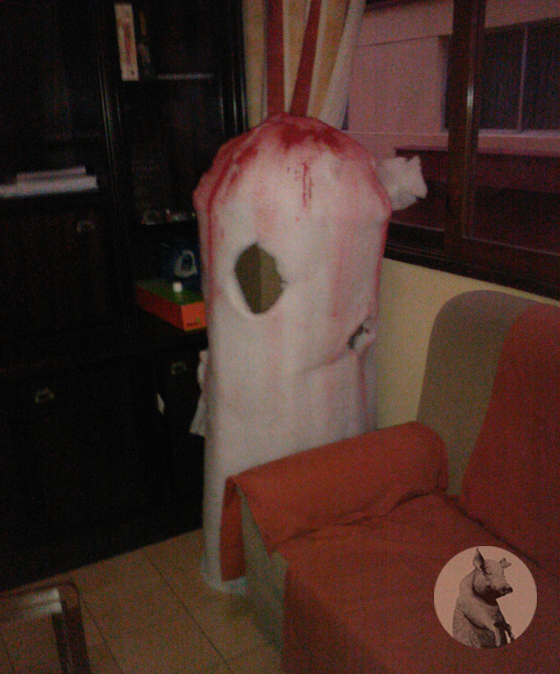 Costume di carnevale Tampax usato